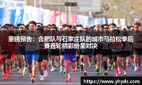 TVT体育官网
