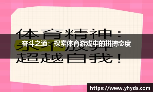 TVT体育